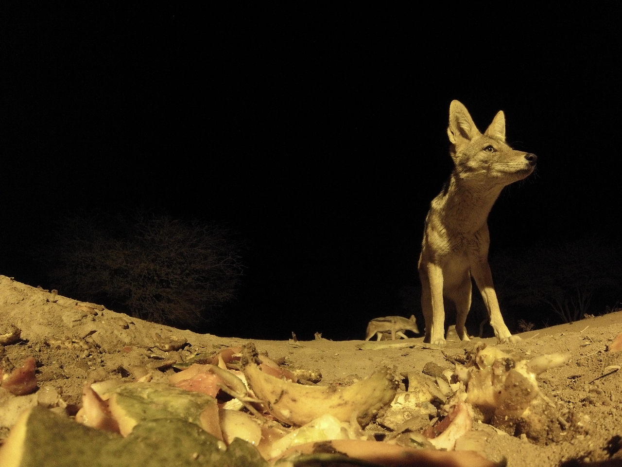 [10065] 2016_06_23_18_50_59_Africa_Hero3-Silver_Edition_IMG_8048_00045.jpg