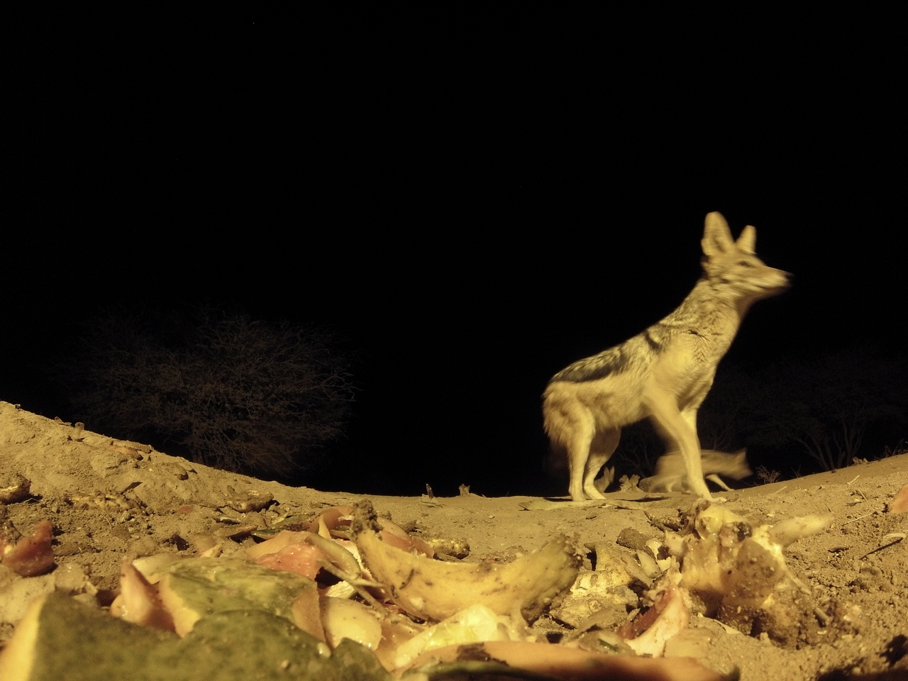 [10071] 2016_06_23_18_51_02_Africa_Hero3-Silver_Edition_IMG__01069.jpg