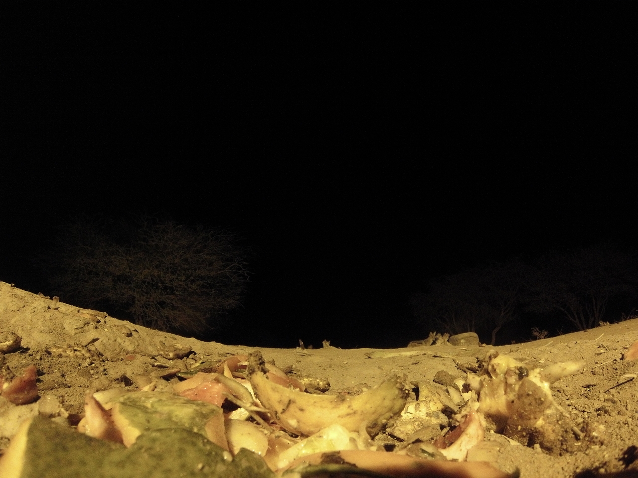 [10072] 2016_06_23_18_51_05_Africa_Hero3-Silver_Edition_IMG__00622.jpg