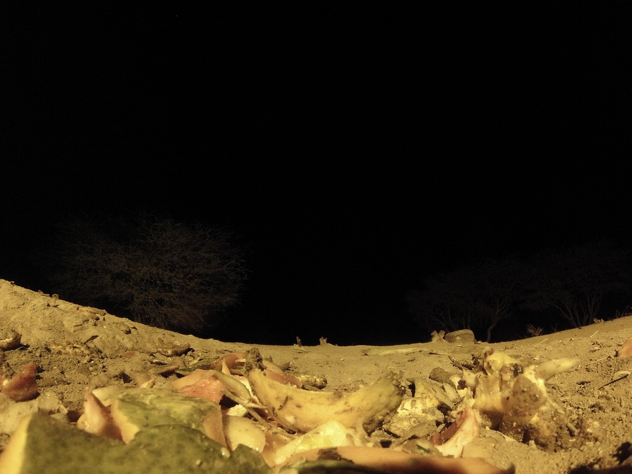 [10080] 2016_06_23_18_51_15_Africa_Hero3-Silver_Edition_IMG__00626.jpg