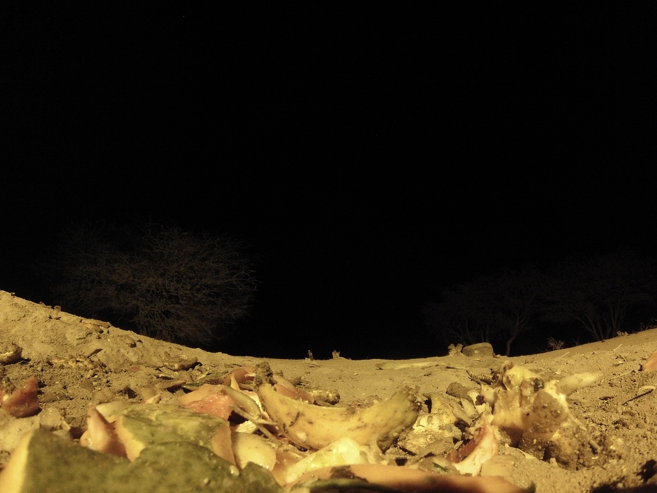 [10082] 2016_06_23_18_51_17_Africa_Hero3-Silver_Edition_IMG__00627.jpg