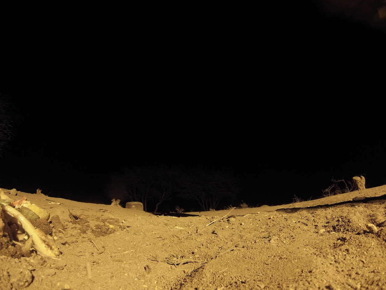 [10123] 2016_06_23_19_00_26_Africa_Hero3-Silver_Edition_IMG__01084.jpg