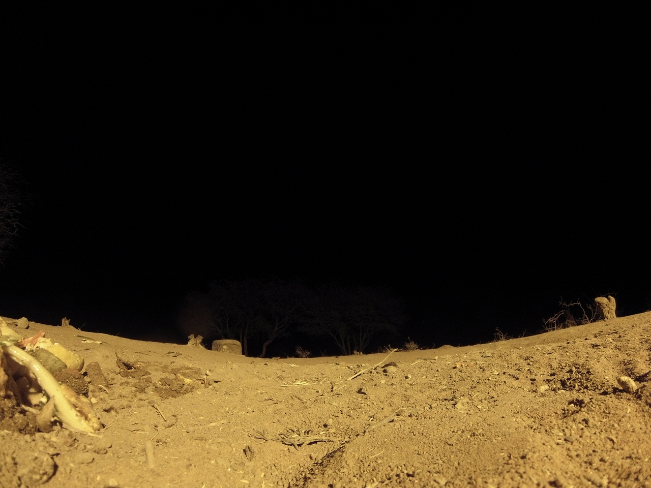 [10146] 2016_06_23_19_00_46_Africa_Hero3-Silver_Edition_IMG__00644.jpg