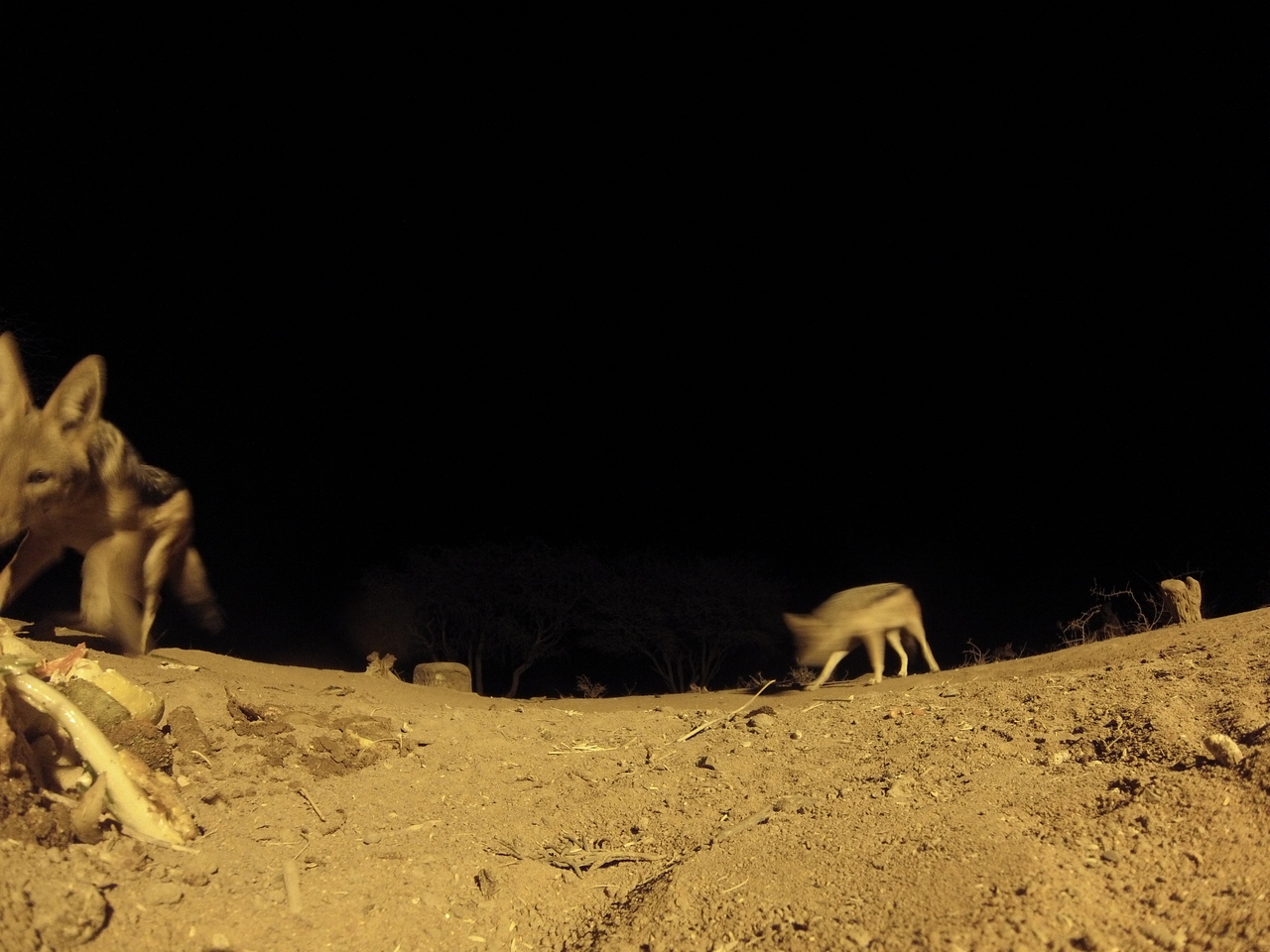 [10163] 2016_06_23_19_01_00_Africa_Hero3-Silver_Edition_IMG__01098.jpg