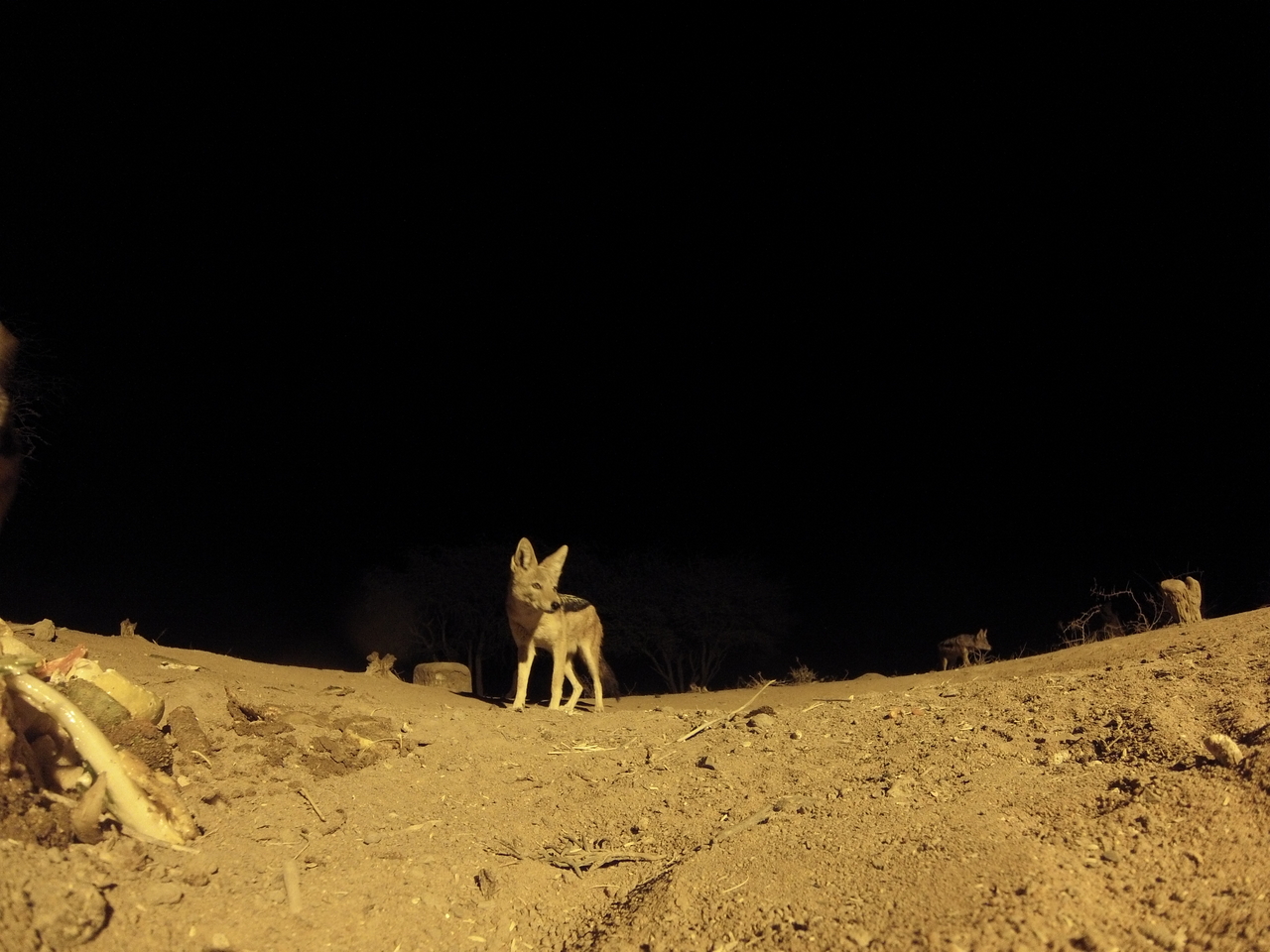 [10171] 2016_06_23_19_01_06_Africa_Hero3-Silver_Edition_IMG__01100.jpg