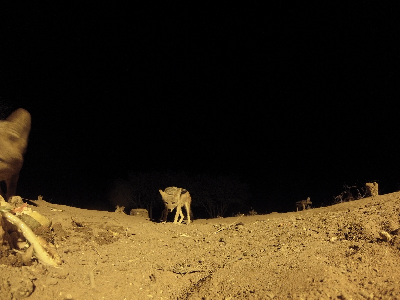 [10172] 2016_06_23_19_01_08_Africa_Hero3-Silver_Edition_IMG__00653.jpg