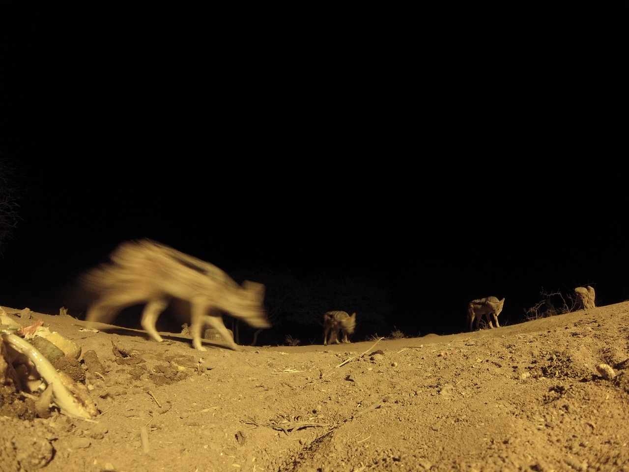 [10190] 2016_06_23_19_01_24_Africa_Hero3-Silver_Edition_IMG__00659.jpg