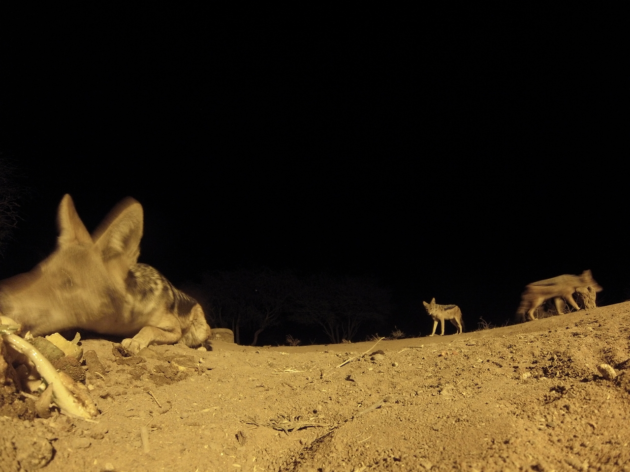 [10203] 2016_06_23_19_01_34_Africa_Hero3-Silver_Edition_IMG__00662.jpg