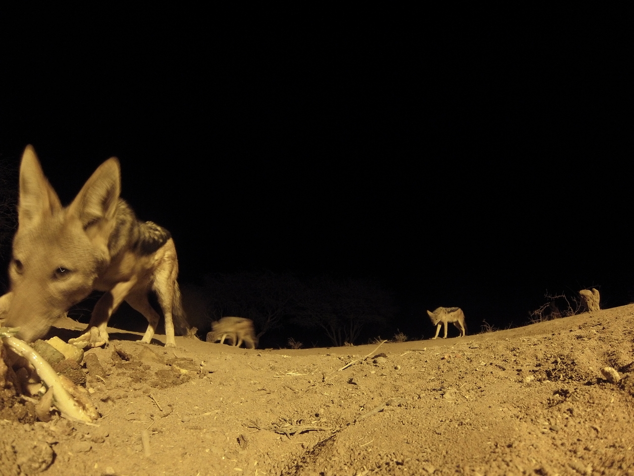 [10218] 2016_06_23_19_01_50_Africa_Hero3-Silver_Edition_IMG_8046_00625.jpg