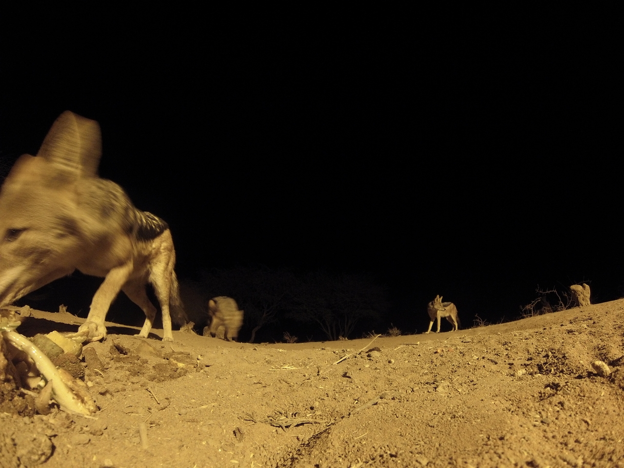 [10225] 2016_06_23_19_01_52_Africa_Hero3-Silver_Edition_IMG__01115.jpg