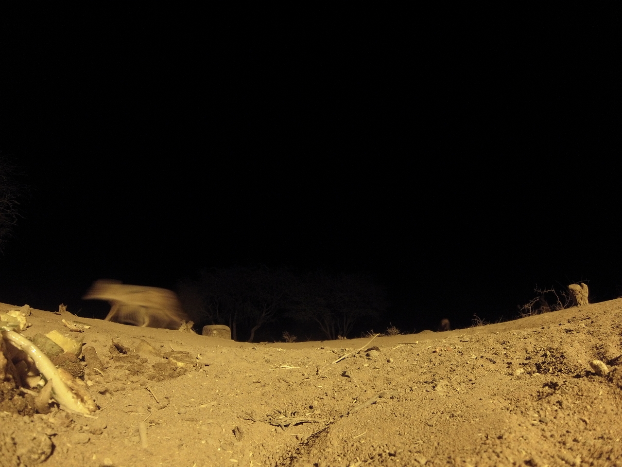 [10232] 2016_06_23_19_02_00_Africa_Hero3-Silver_Edition_IMG__00670.jpg