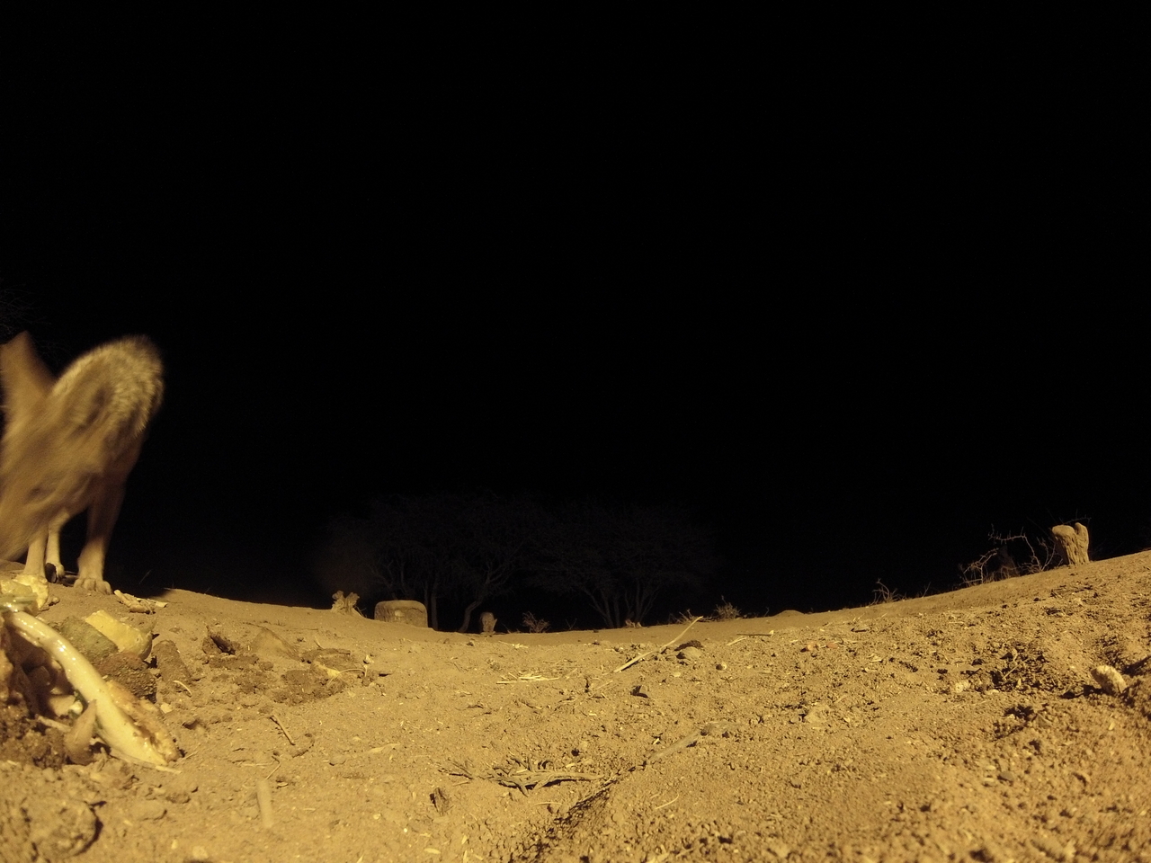 [10255] 2016_06_23_19_02_16_Africa_Hero3-Silver_Edition_IMG__01125.jpg