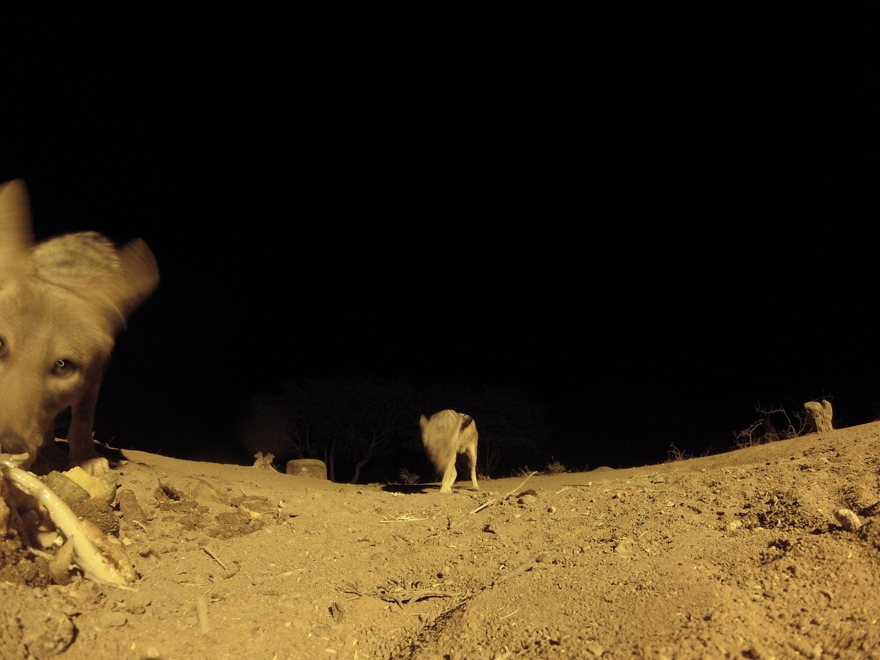 [10267] 2016_06_23_19_02_26_Africa_Hero3-Silver_Edition_IMG__01129.jpg