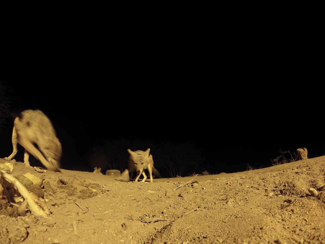 [10273] 2016_06_23_19_02_32_Africa_Hero3-Silver_Edition_IMG__01131.jpg