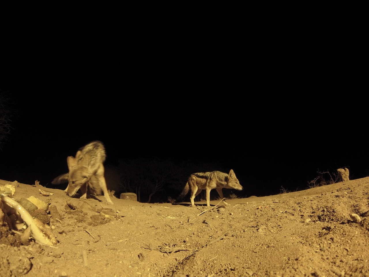 [10278] 2016_06_23_19_02_36_Africa_Hero3-Silver_Edition_IMG__00685.jpg