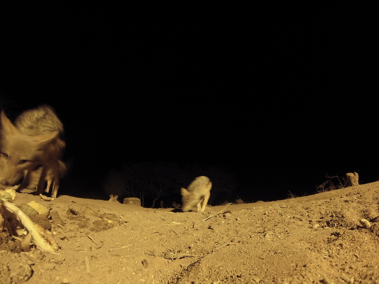 [10281] 2016_06_23_19_02_40_Africa_Hero3-Silver_Edition_IMG__01134.jpg