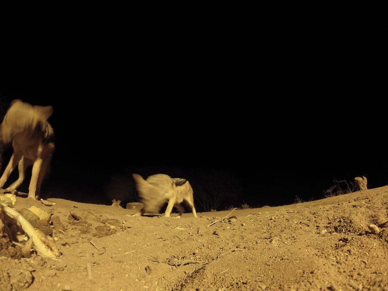 [10289] 2016_06_23_19_02_46_Africa_Hero3-Silver_Edition_IMG__01136.jpg