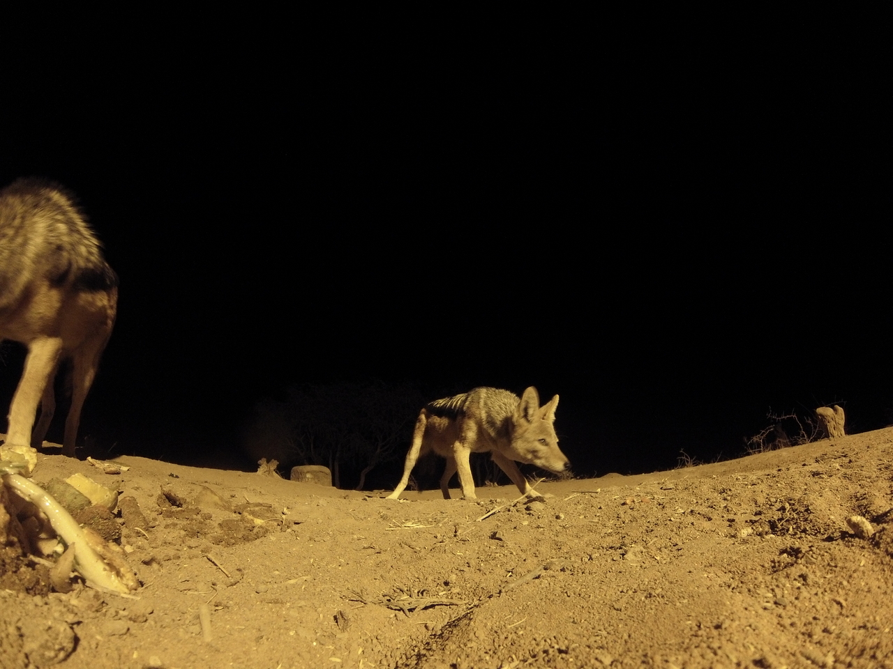 [10296] 2016_06_23_19_02_54_Africa_Hero3-Silver_Edition_IMG__00691.jpg