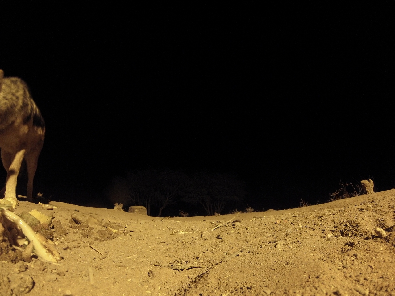 [10314] 2016_06_23_19_03_08_Africa_Hero3-Silver_Edition_IMG__00697.jpg