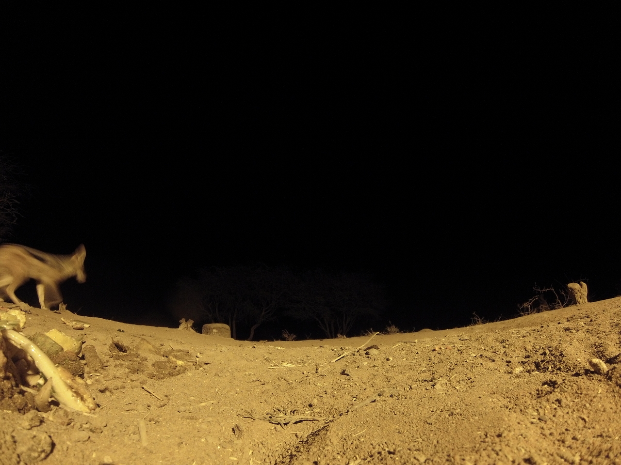 [10321] 2016_06_23_19_03_14_Africa_Hero3-Silver_Edition_IMG__01147.jpg