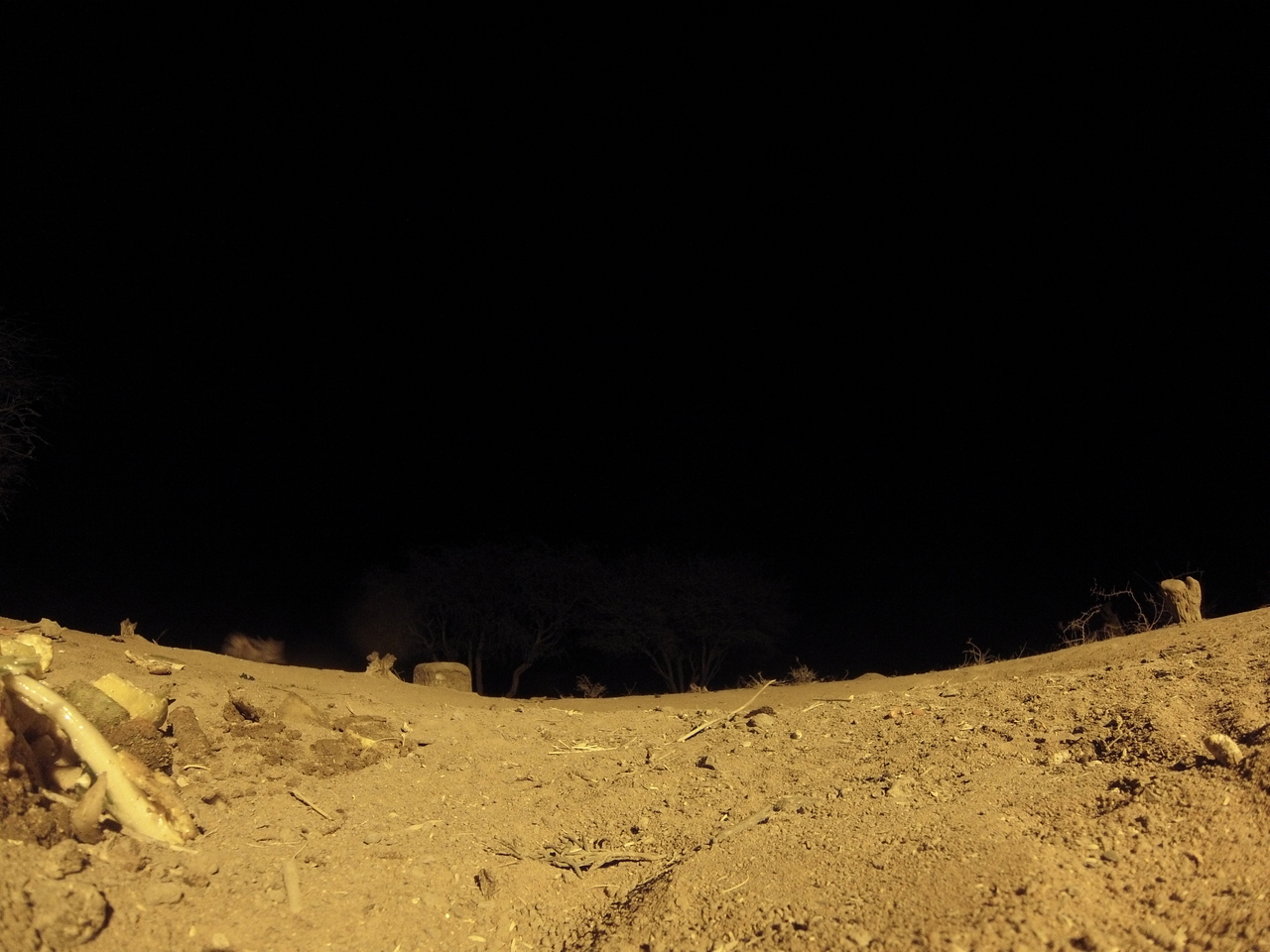 [10324] 2016_06_23_19_03_16_Africa_Hero3-Silver_Edition_IMG__00700.jpg