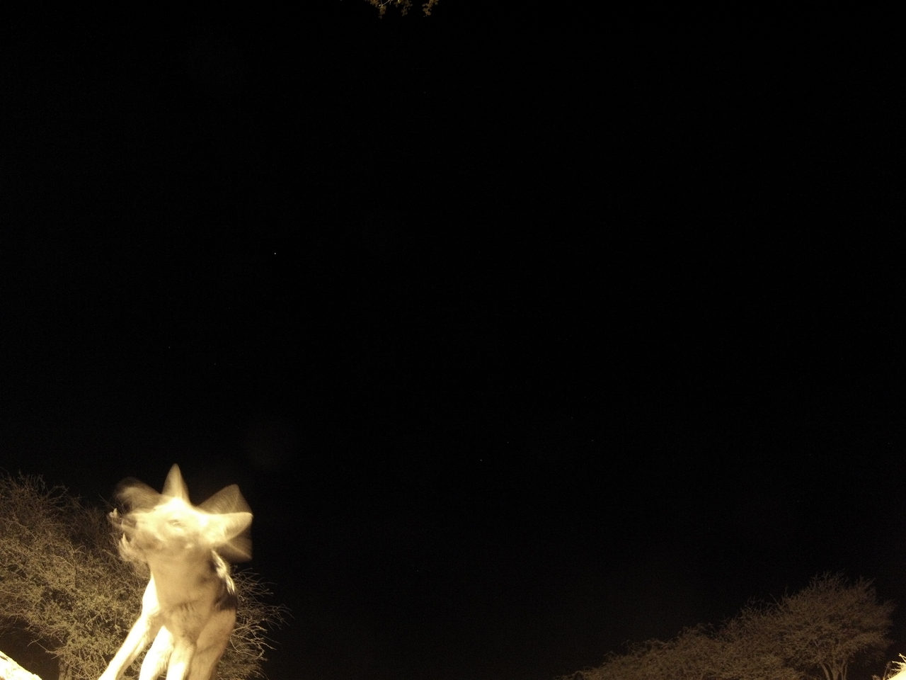 [10445] 2016_06_23_19_05_17_Africa_Hero3-Silver_Edition_IMG__01181.jpg