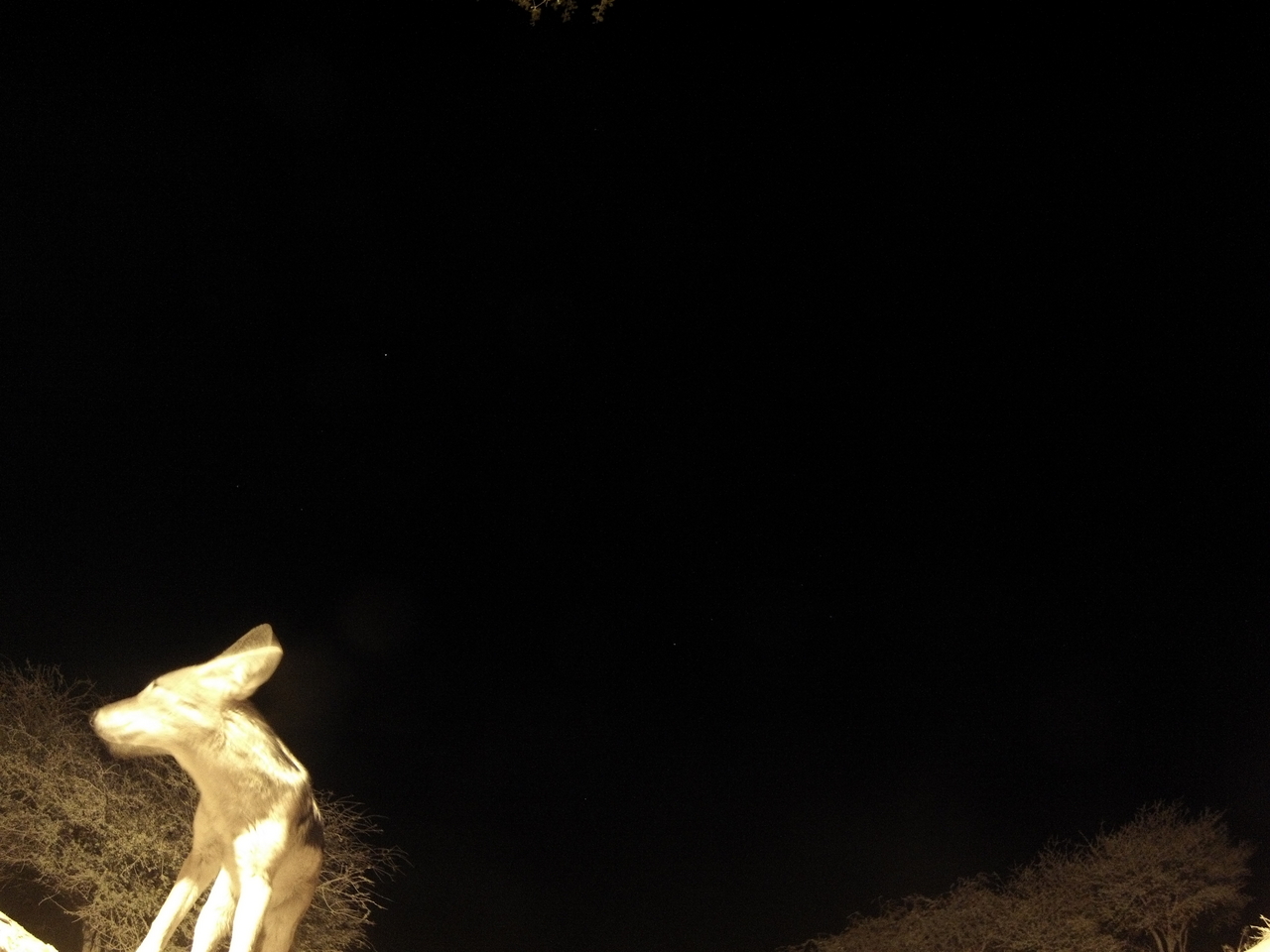 [10446] 2016_06_23_19_05_21_Africa_Hero3-Silver_Edition_IMG__00734.jpg