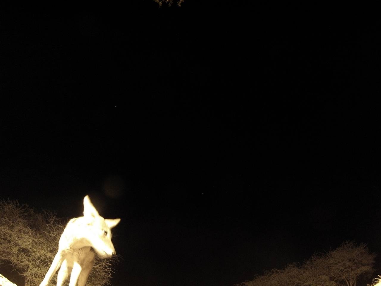 [10451] 2016_06_23_19_05_25_Africa_Hero3-Silver_Edition_IMG__01183.jpg