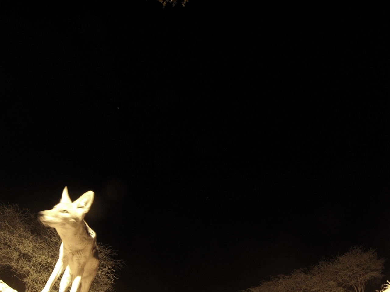 [10454] 2016_06_23_19_05_29_Africa_Hero3-Silver_Edition_IMG__00736.jpg