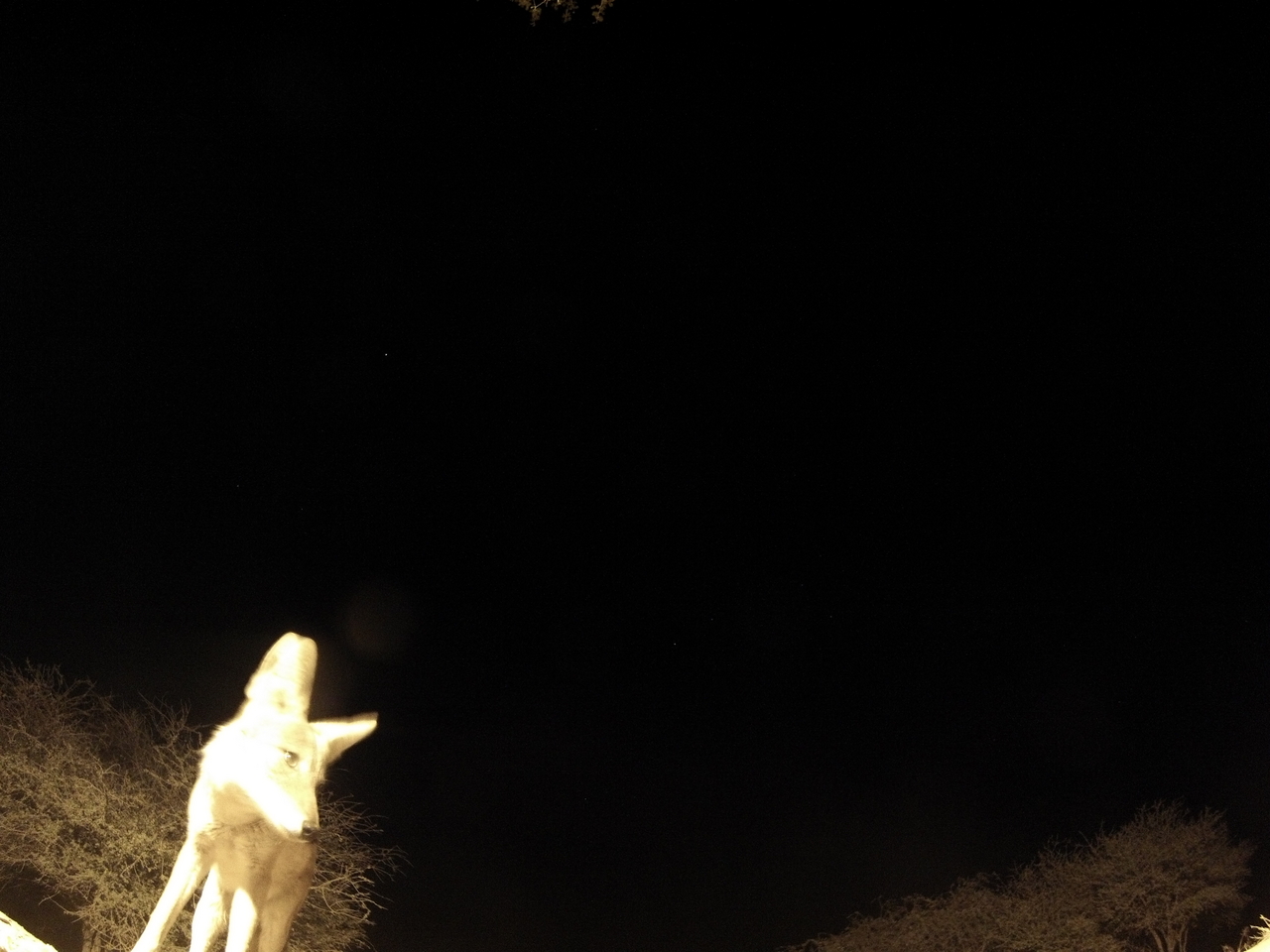 [10459] 2016_06_23_19_05_33_Africa_Hero3-Silver_Edition_IMG__01185.jpg