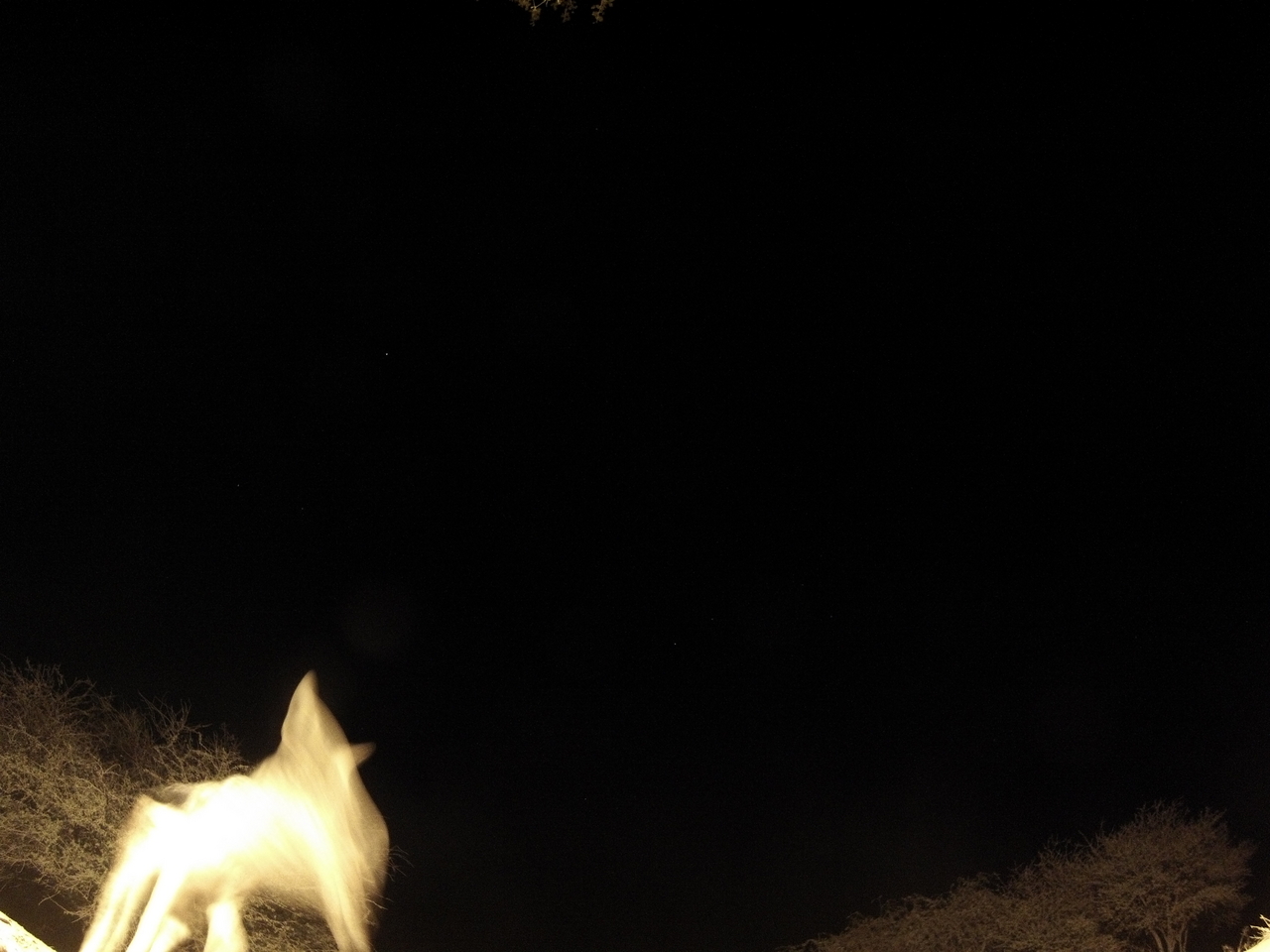 [10472] 2016_06_23_19_05_49_Africa_Hero3-Silver_Edition_IMG__00741.jpg