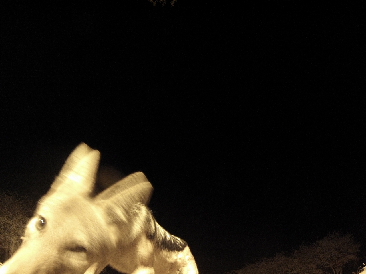 [10532] 2016_06_23_19_06_53_Africa_Hero3-Silver_Edition_IMG__00758.jpg