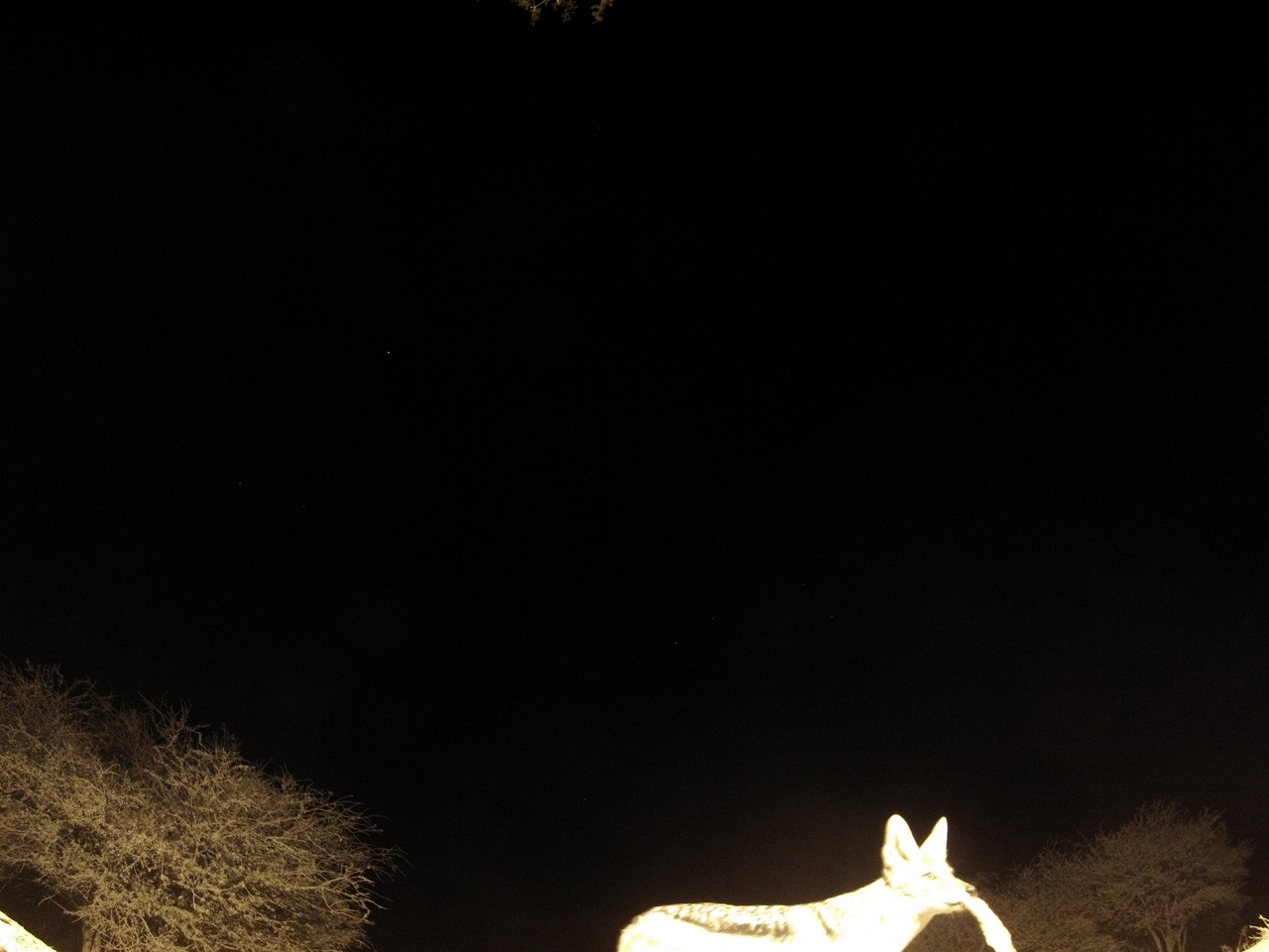 [10537] 2016_06_23_19_06_57_Africa_Hero3-Silver_Edition_IMG__01207.jpg