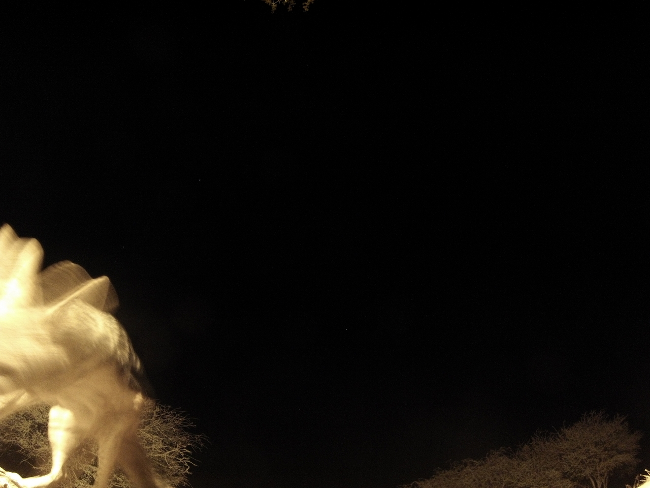 [10577] 2016_06_23_19_07_41_Africa_Hero3-Silver_Edition_IMG__01218.jpg