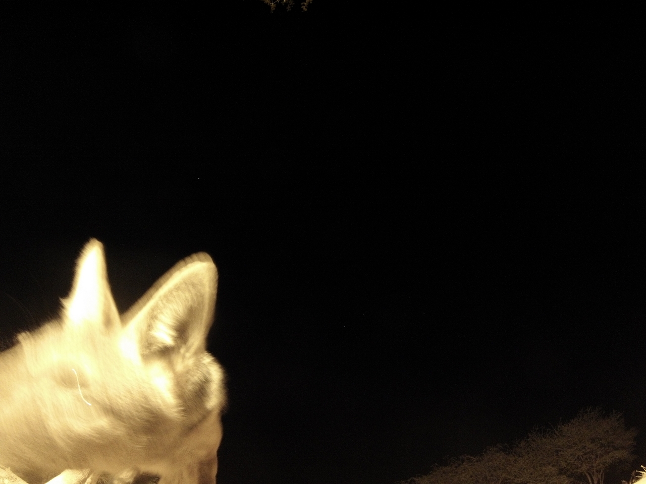 [10586] 2016_06_23_19_07_53_Africa_Hero3-Silver_Edition_IMG__00773.jpg