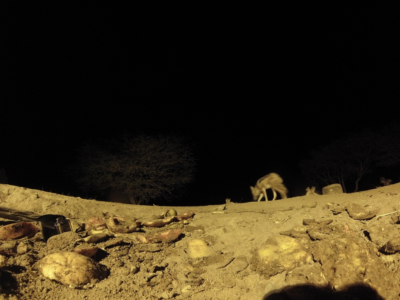 [10839] 2016_06_23_19_51_34_Africa_Hero3-Silver_Edition_IMG__00843.jpg