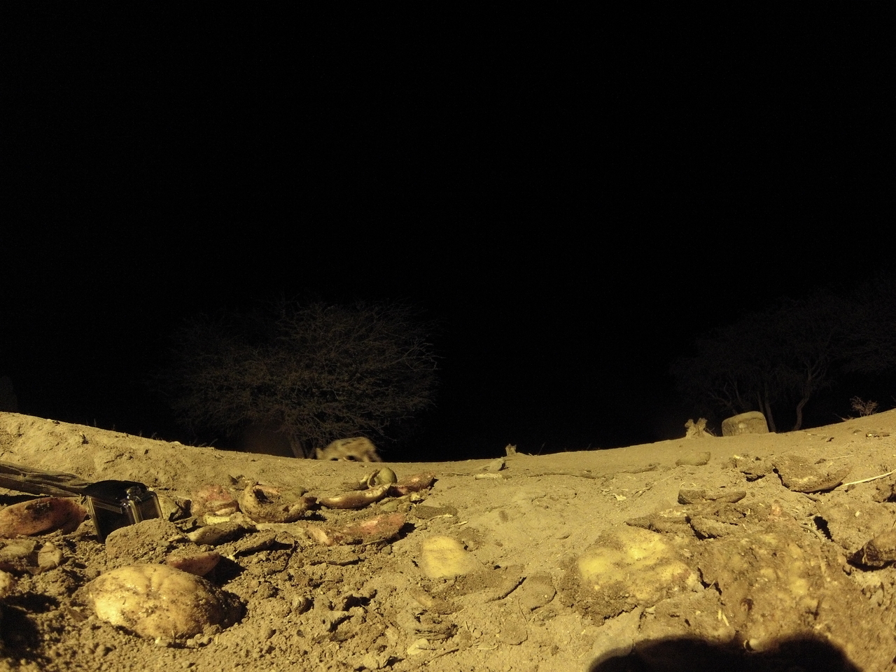 [10843] 2016_06_23_19_51_38_Africa_Hero3-Silver_Edition_IMG__00844.jpg