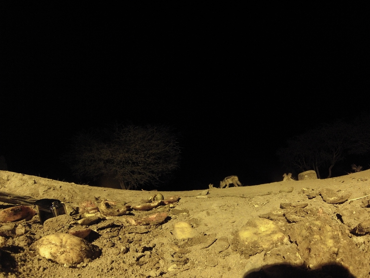 [10868] 2016_06_23_19_52_02_Africa_Hero3-Silver_Edition_IMG__01299.jpg