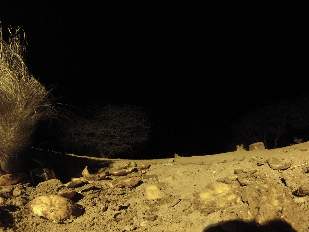 [10912] 2016_06_23_19_52_44_Africa_Hero3-Silver_Edition_IMG__01313.jpg