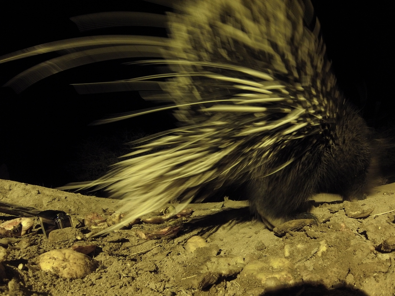 [10948] 2016_06_23_19_53_25_Africa_Hero3-Silver_Edition_IMG__01323.jpg