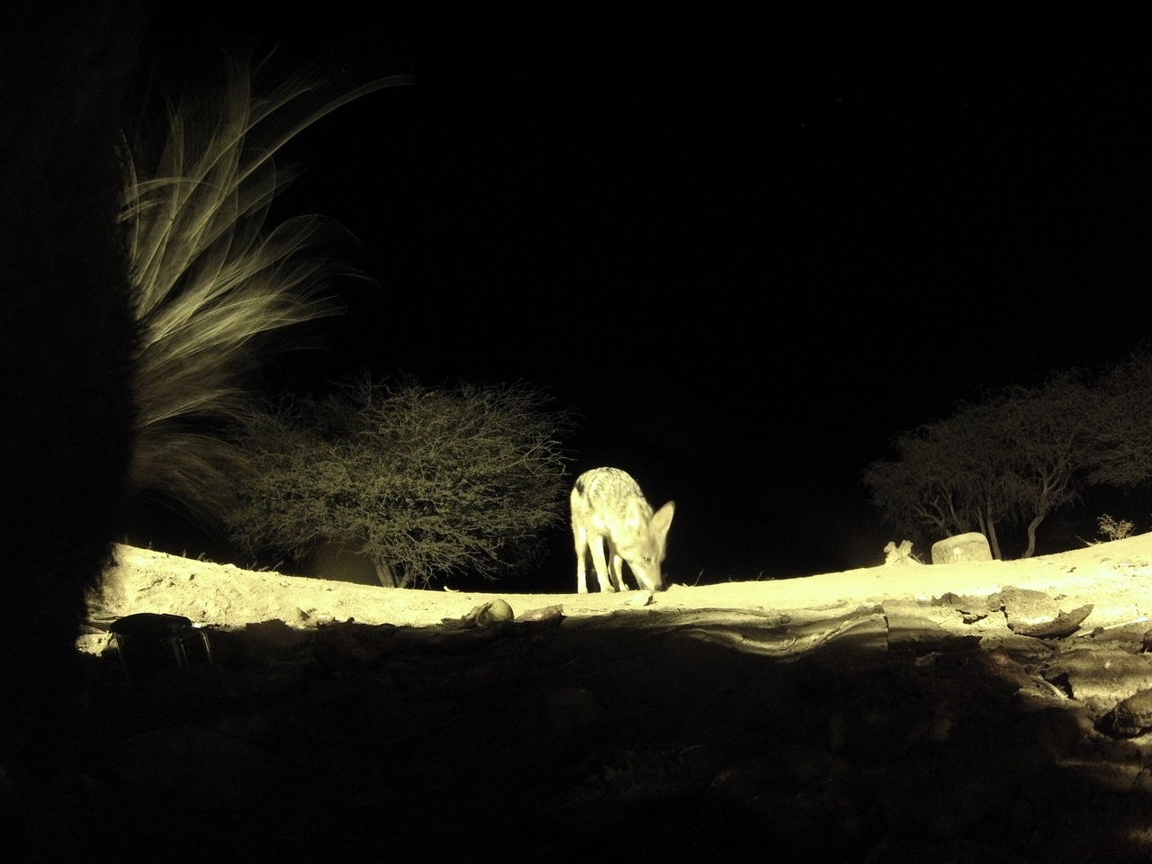 [10970] 2016_06_23_19_53_49_Africa_Hero3-Silver_Edition_IMG__01329.jpg