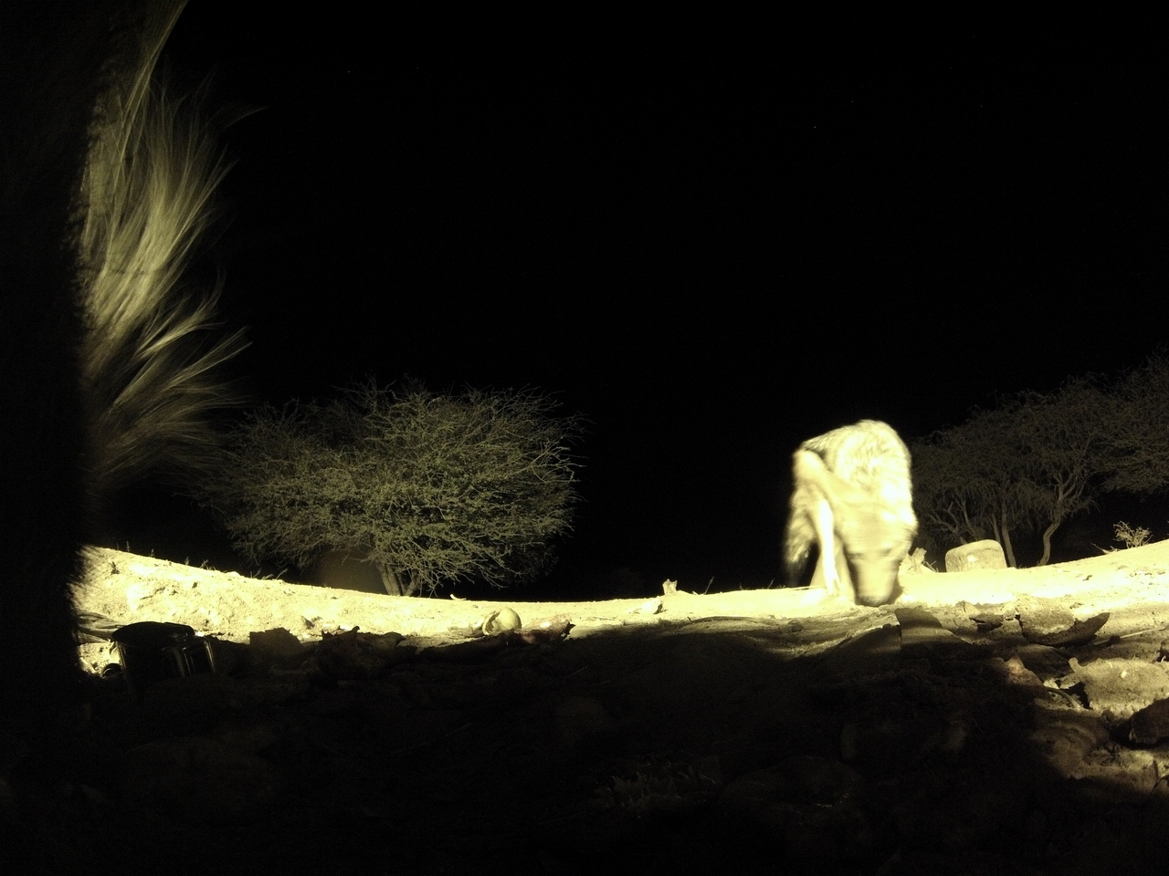 [10977] 2016_06_23_19_53_57_Africa_Hero3-Silver_Edition_IMG__00883.jpg