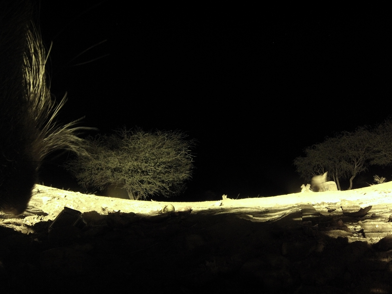 [10984] 2016_06_23_19_54_05_Africa_Hero3-Silver_Edition_IMG__01333.jpg