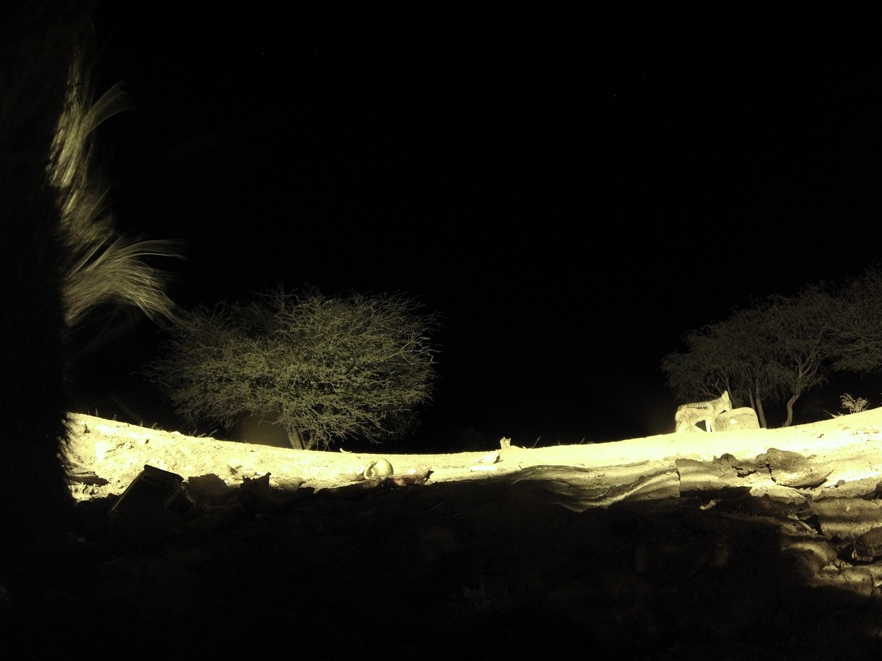 [10991] 2016_06_23_19_54_13_Africa_Hero3-Silver_Edition_IMG__00887.jpg