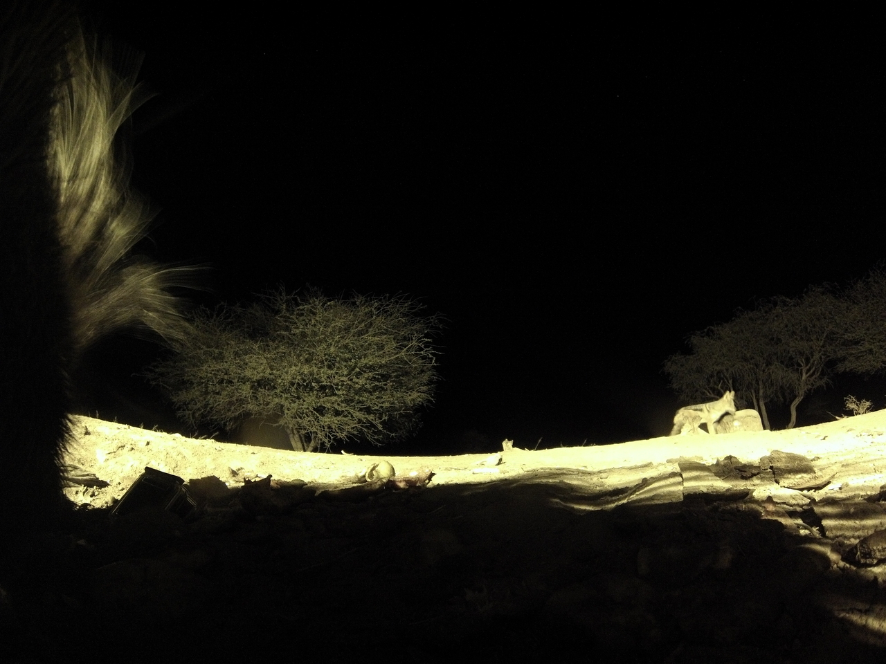 [10996] 2016_06_23_19_54_17_Africa_Hero3-Silver_Edition_IMG__01336.jpg