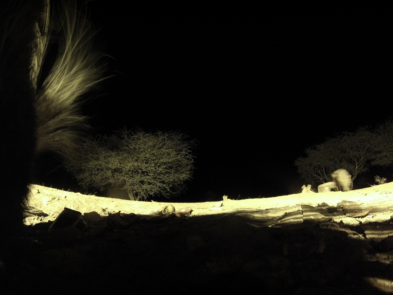 [10997] 2016_06_23_19_54_21_Africa_Hero3-Silver_Edition_IMG__00889.jpg