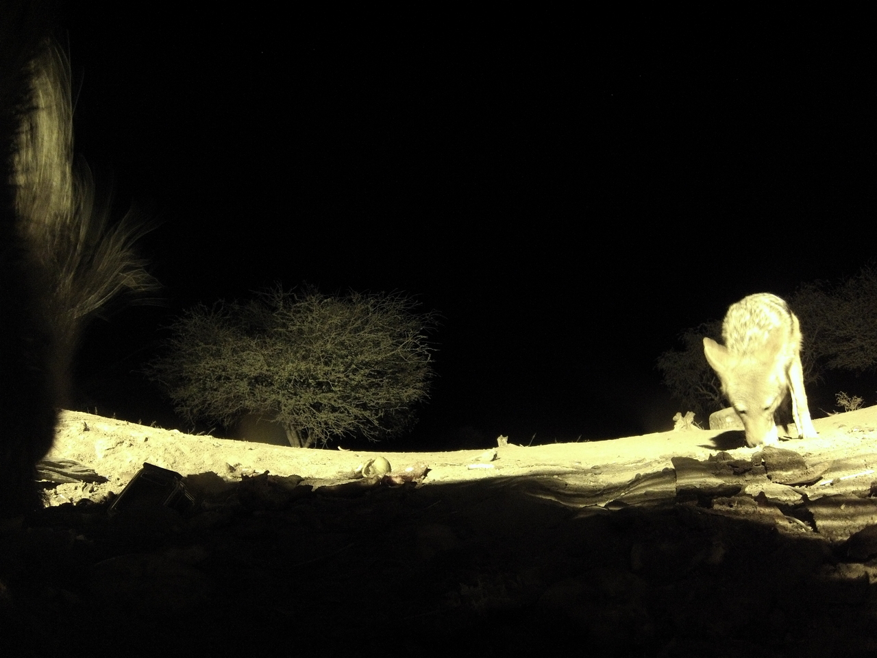 [11023] 2016_06_23_19_54_49_Africa_Hero3-Silver_Edition_IMG__00896.jpg