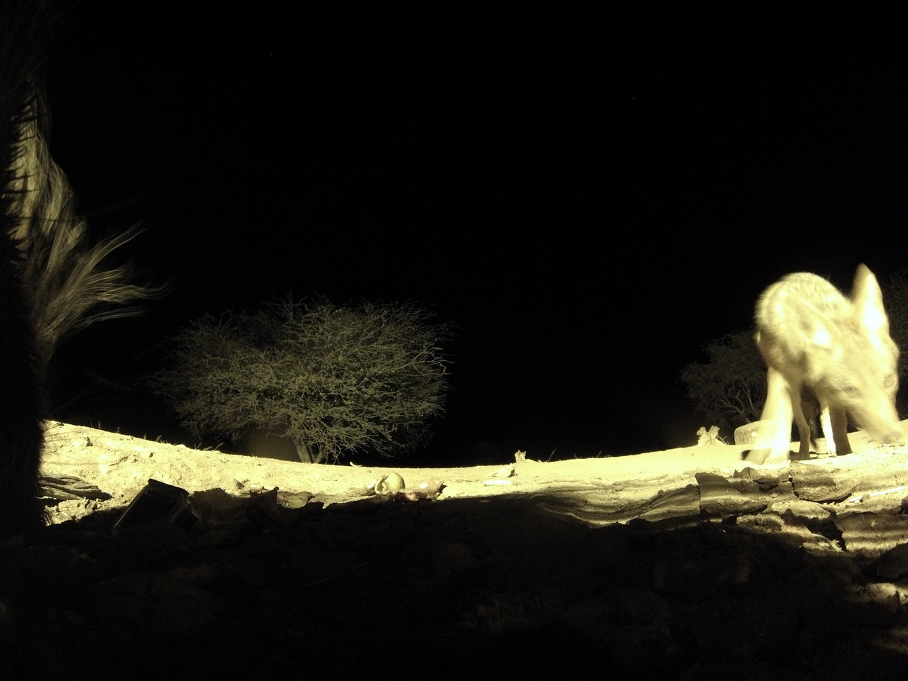 [11027] 2016_06_23_19_54_53_Africa_Hero3-Silver_Edition_IMG__00897.jpg