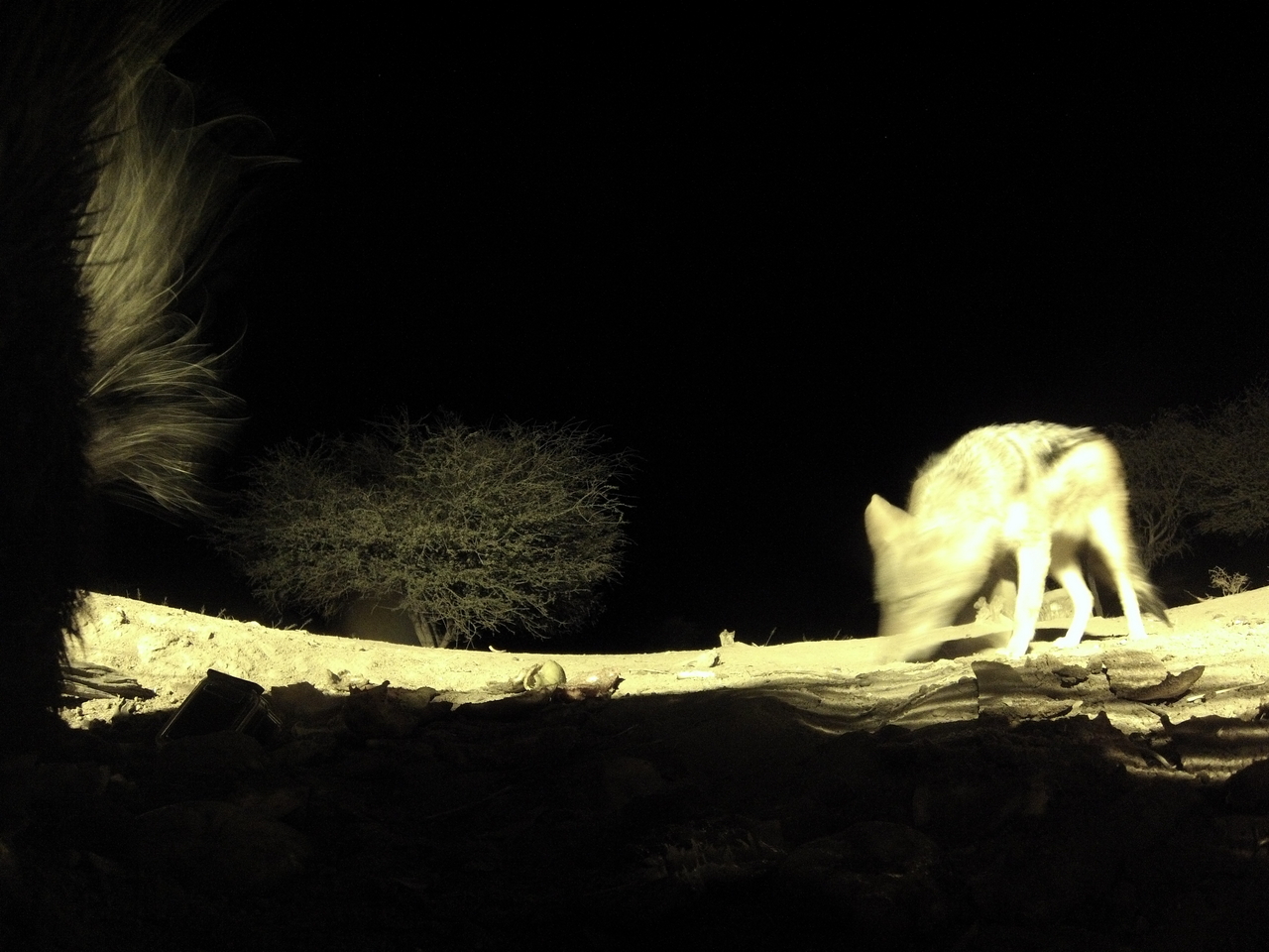 [11033] 2016_06_23_19_55_01_Africa_Hero3-Silver_Edition_IMG__00899.jpg