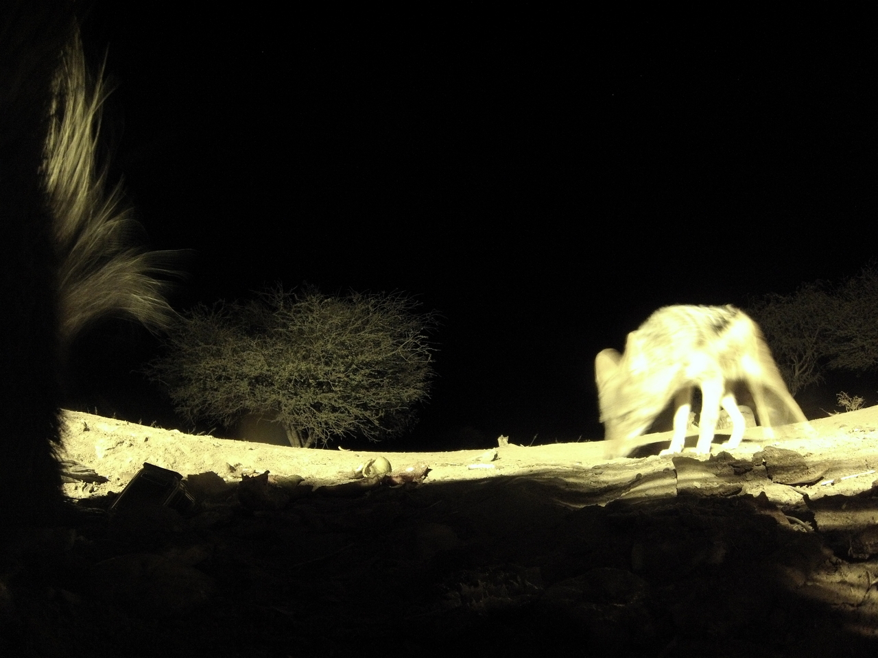 [11038] 2016_06_23_19_55_05_Africa_Hero3-Silver_Edition_IMG__01348.jpg